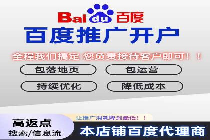 某电商平台信息流广告的精准推广策略